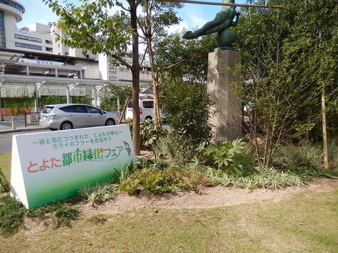DSCN6079