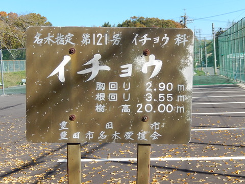 DSCN8030