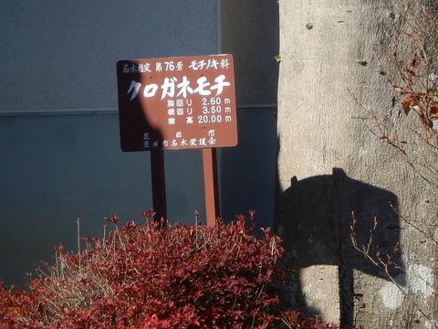 DSCN8064