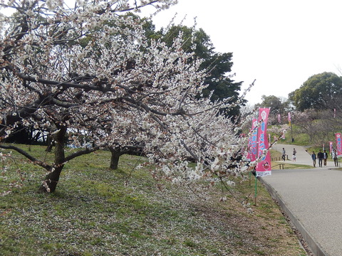 DSCN1758