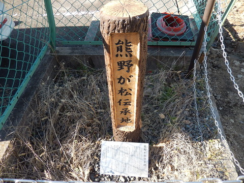 DSCN8960