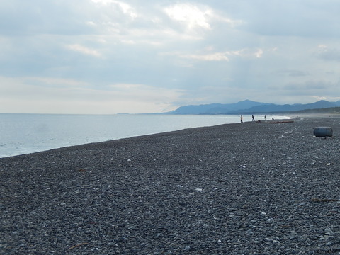 DSCN8550