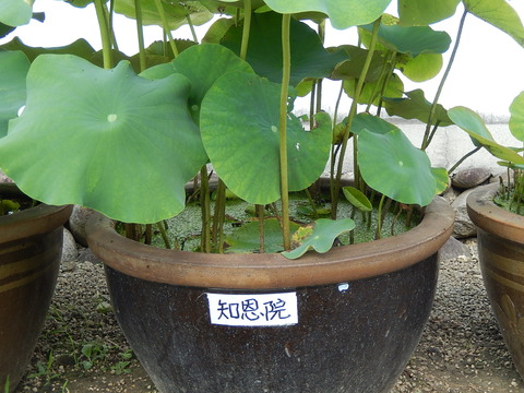DSCN3541