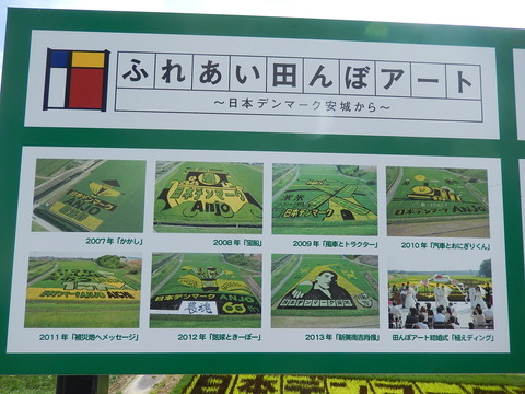 DSCN4029