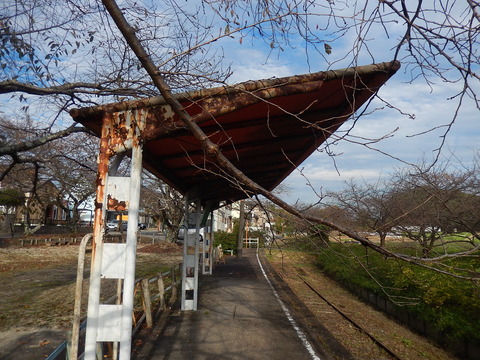 DSCN7565