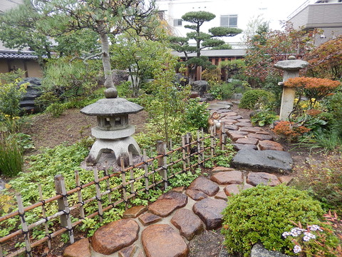 DSCN9982