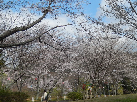 DSCN2513