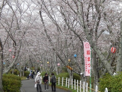 DSCN2442
