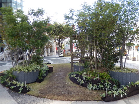 DSCN6082
