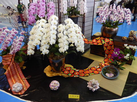 DSCN1625