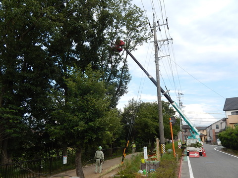 DSCN4485