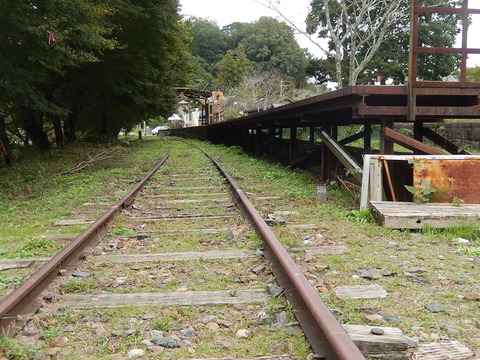 DSCN9819
