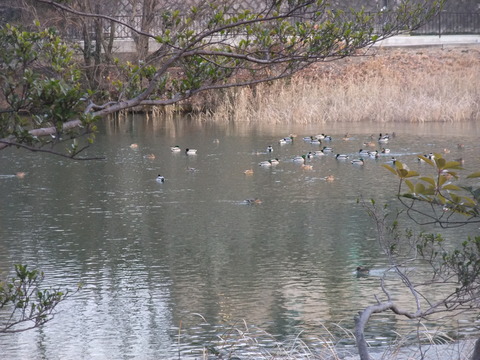 DSCF0162