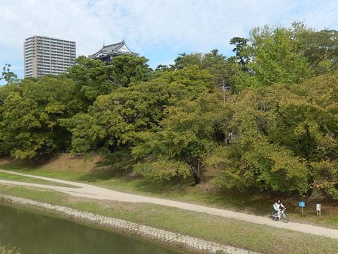 DSCN8367