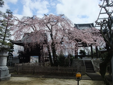 DSCF0032