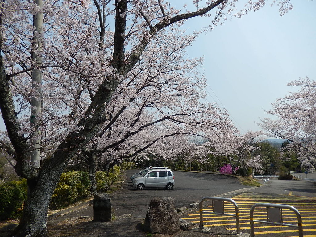 豊田市古瀬間御嶽神社のツツジが見頃に！ 2019.4.7 : やつば池散歩道 