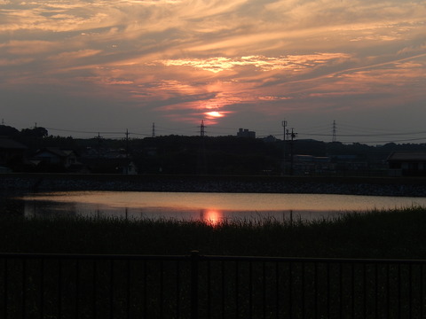 DSCN4685