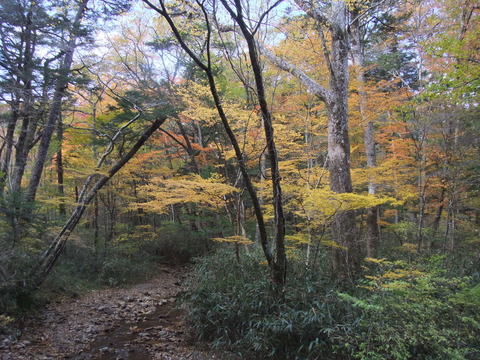 DSCF0023