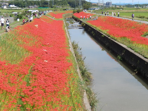 DSCN8606