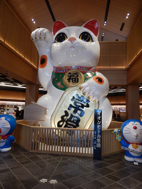 DSCN0526