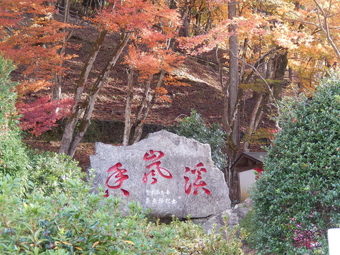 DSCN8332