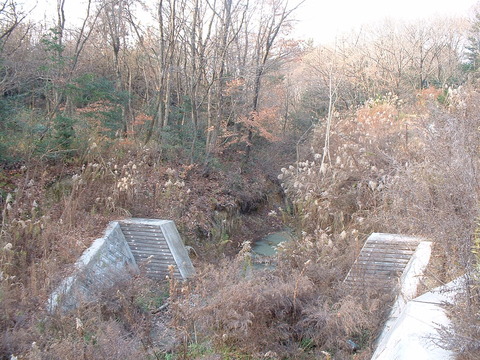 DSCF0054