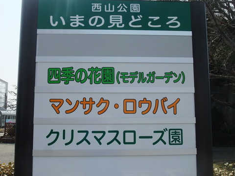 DSCF0100