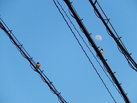 DSCN0791