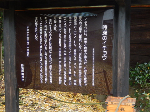 DSCN8797