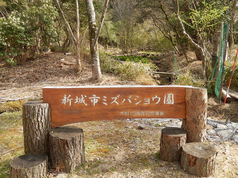 DSCN3290