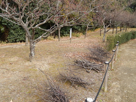 DSCN0155
