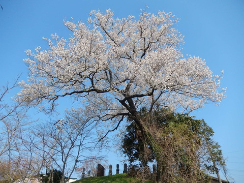 DSCN1873