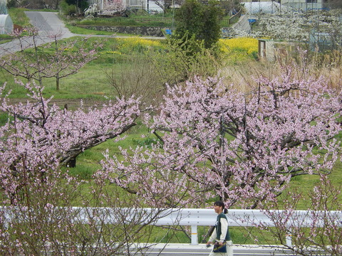 DSCN0224