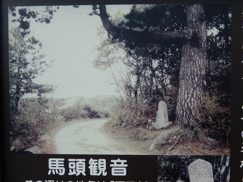 DSCN0120