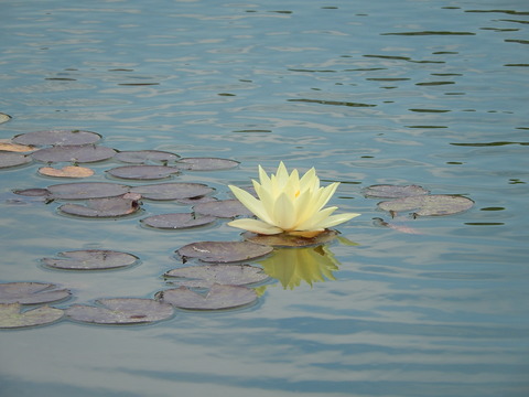 DSCN4111