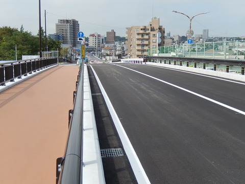 DSCN8700