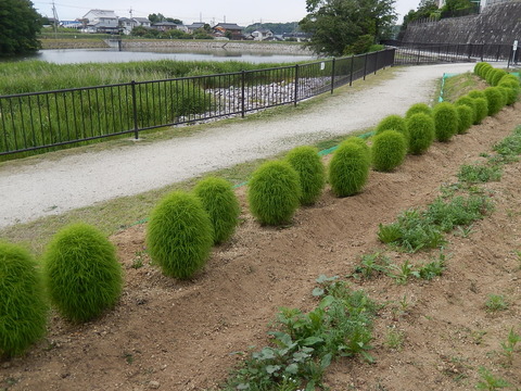 DSCN0172