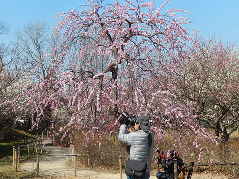 DSCN1657