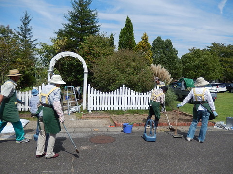 DSCN6604