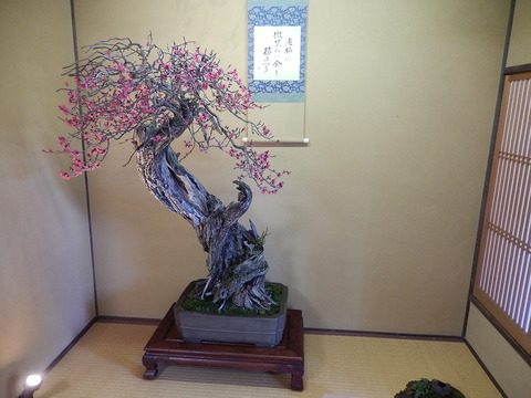 DSCN0830