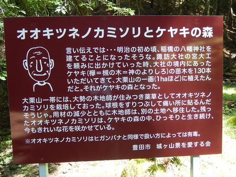 DSCN5494
