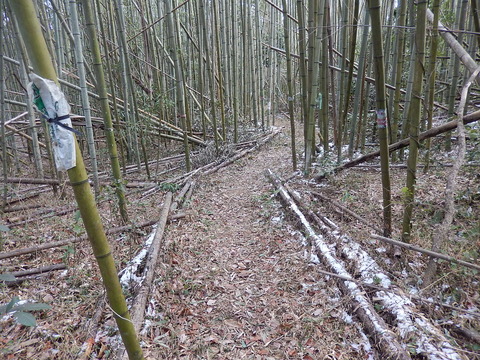 DSCN0076