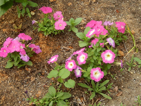 DSCN0238