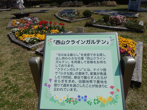 DSCN0711