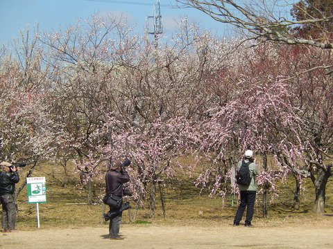 DSCN1672