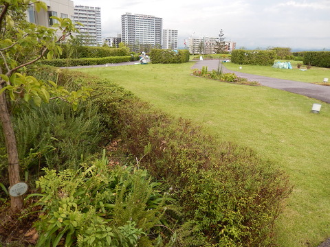DSCN5937