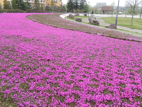 DSCN0329