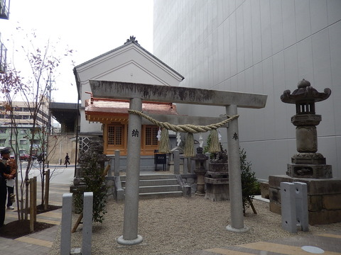 DSCN8901