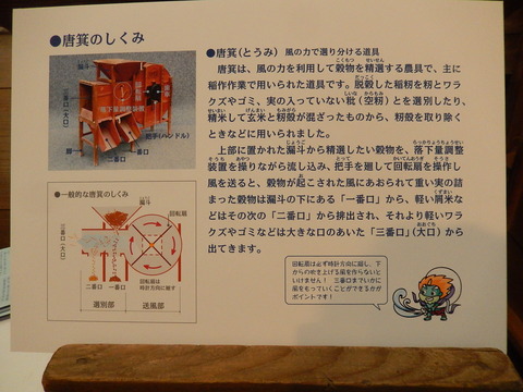 DSCN9031