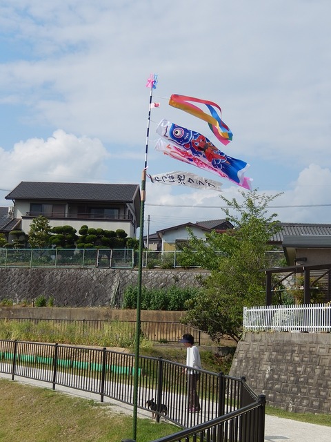 DSCN1403